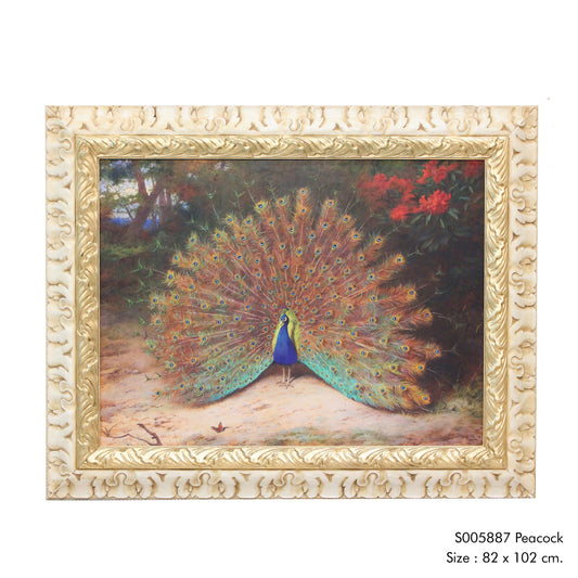 Peacock